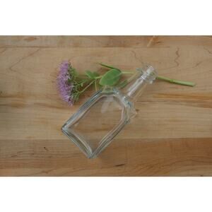 Simple Vintage Clear Glass Bottle / Flower Vase